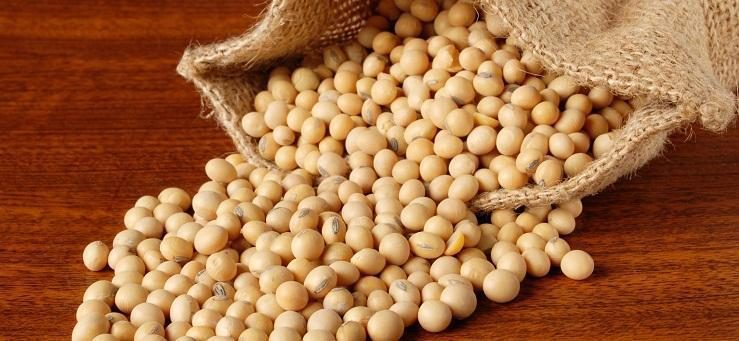 الزراعة الأمريكية تعلن بيع 228 ألف طن من كسب فول الصويا للفلبين