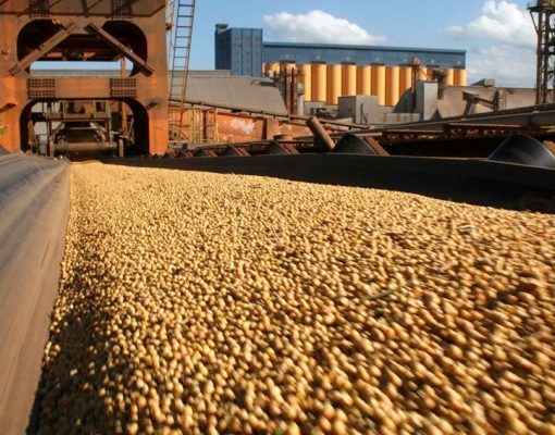 داتاجرو: صادرات فول الصويا البرازيلي تحطم الأرقام القياسية في عام 2023