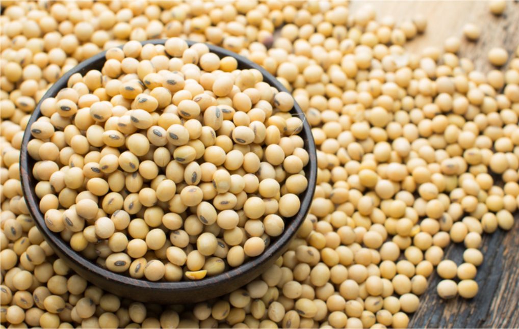 فول الصويا عند أدنى مستوى له منذ أكتوبر مع تصاعد التوترات بين الولايات المتحدة والصين