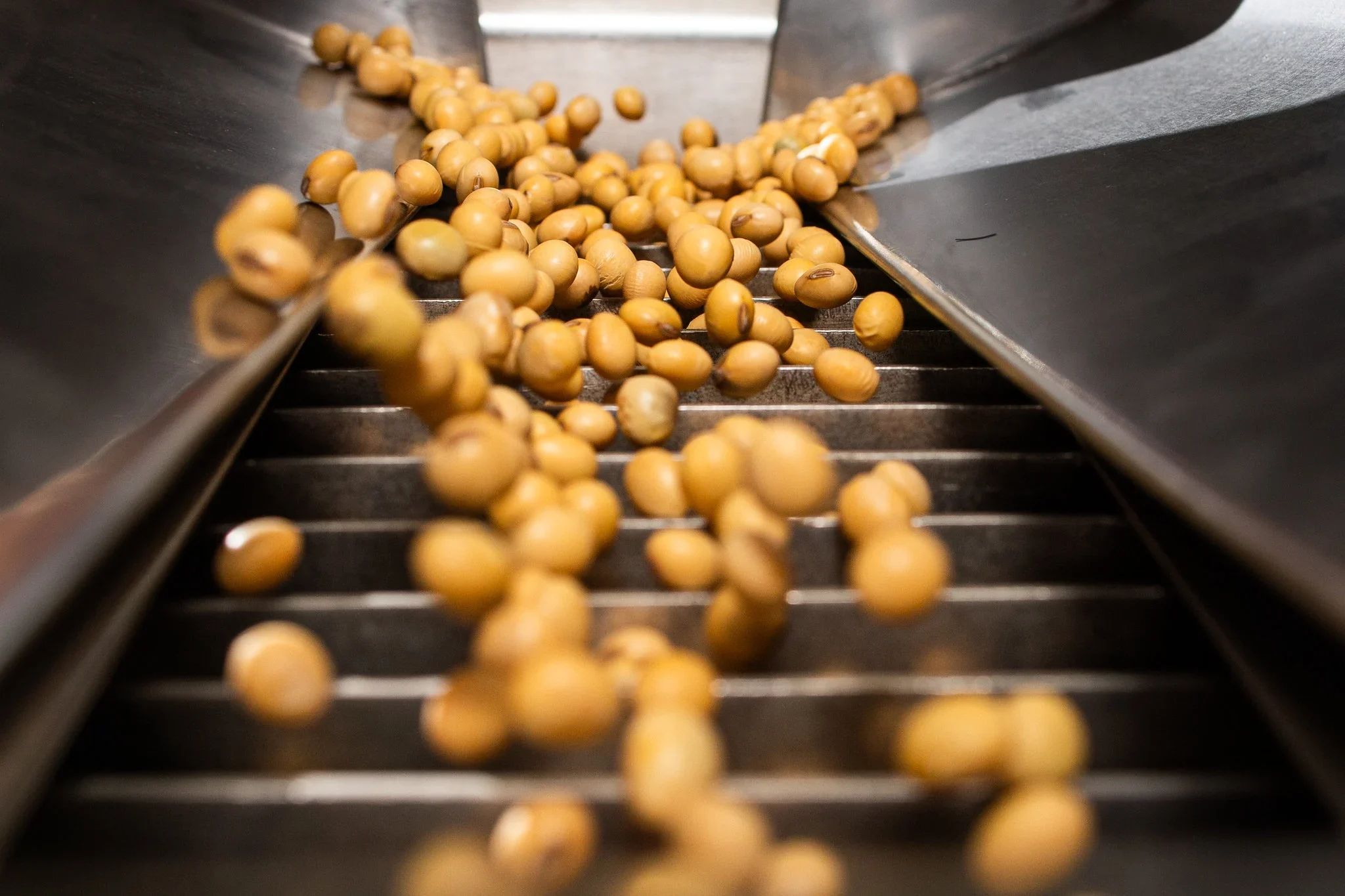 الصويا تستأنف التداول مع انخفاض طفيف اليوم الثلاثاء بعد عطلة في الولايات المتحدة