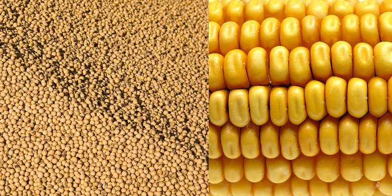 اليكتروميكانيك يونيون تكشف الوضع في سوق الخامات والأسعار خلال الفترة القادمة