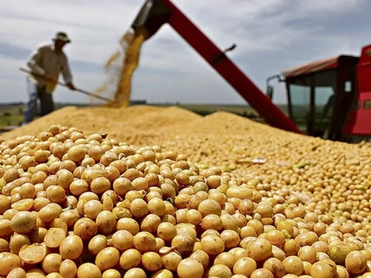 البرازيل تنتهي من حصاد 78% من محصول فول الصويا