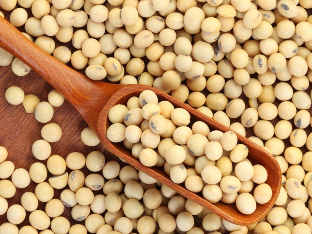 الاتحاد الأوروبي يشتري أكثر من 53% من فول الصويا المستورد من الولايات المتحدة