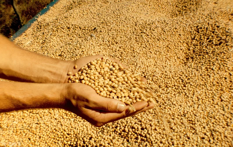 فول الصويا يتحرك بعيدًا عن مستوى 11 دولارًا مع خسائر مكونة من رقمين يوم الجمعة