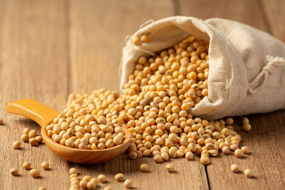 الولايات المتحدة وأوكرانيا تعملان على زيادة حصتهما من إمدادات فول الصويا إلى أوروبا