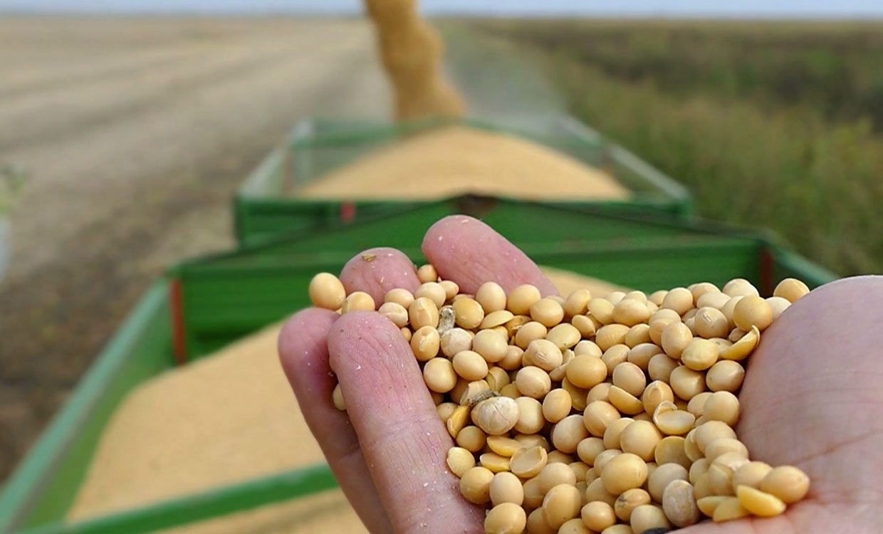 تجارة فول الصويا العالمية تتجه بشكل متزايد نحو أمريكا الجنوبية