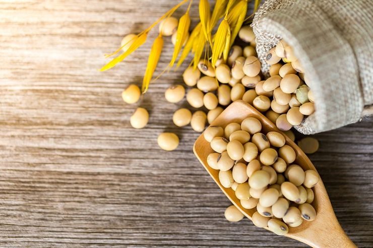 صادرات فول الصويا البرازيلي تصل إلى 4 ملايين طن في يناير