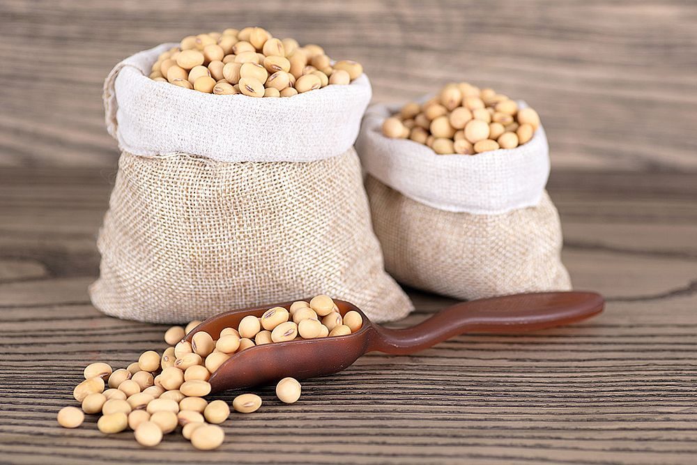 الصين تشتري 10 شحنات من فول الصويا الأرجنتيني بعد قرار الإعفاء الضريبي