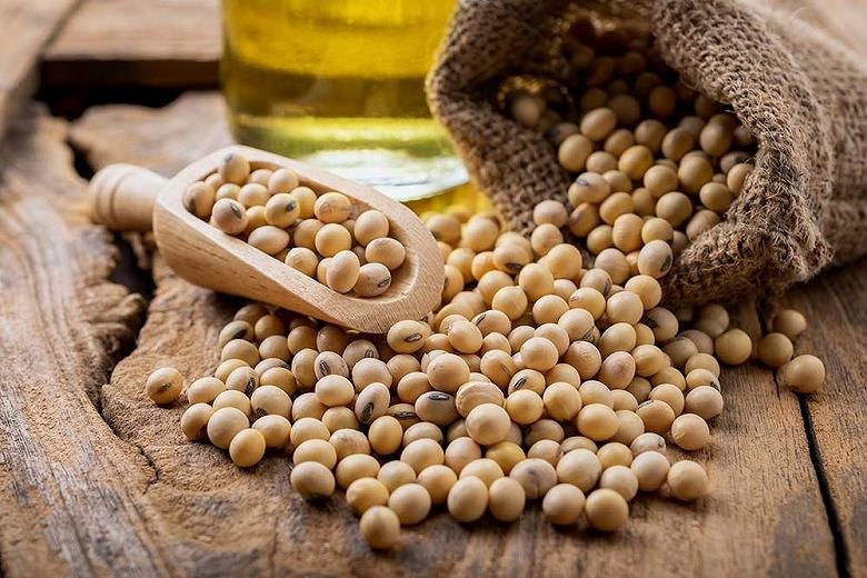 الاستهلاك العالمي من فول الصويا يصل إلى رقم قياسي يبلغ 430 مليون طن