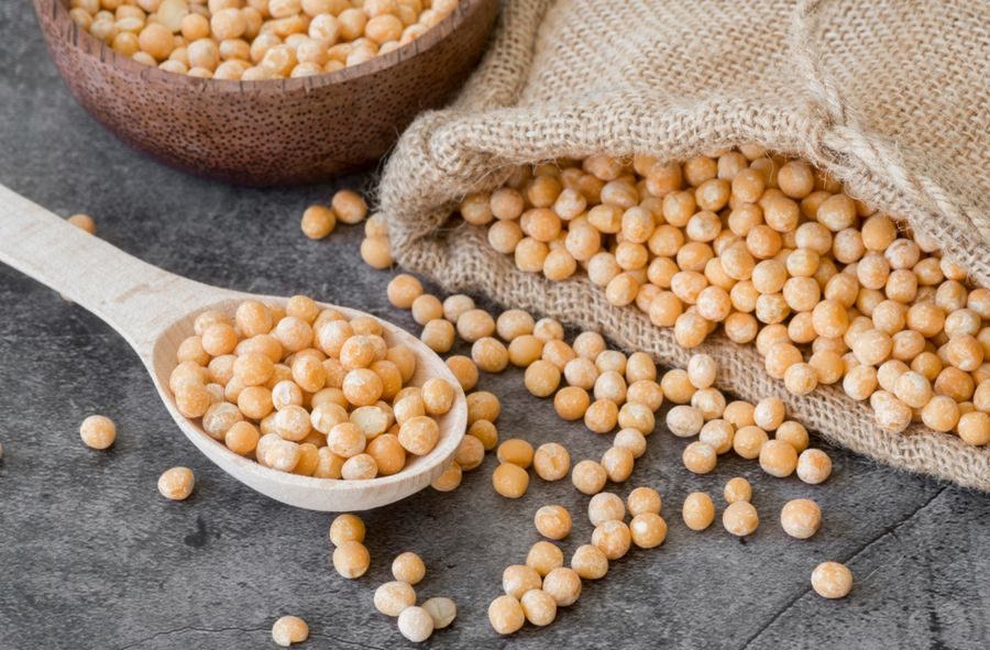 واردات الاتحاد الأوروبي من فول الصويا