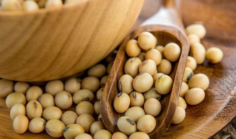 صادرات أوكرانيا من فول الصويا تسجل 200 ألف طن منذ بداية الموسم