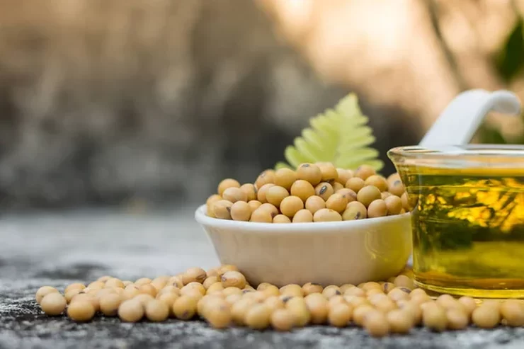 صادرات الأرجنتين من كسب فول الصويا في مايو الأعلى منذ عام 2020