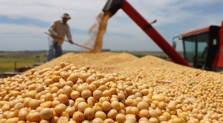 شحنات فول الصويا الأرجنتيني إلى الصين تزيد بنسبة 91٪ في سبتمبر