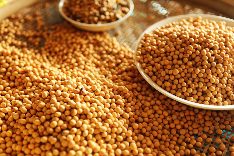 الصين تشتري 132 ألف طن من فول الصويا الأمريكي