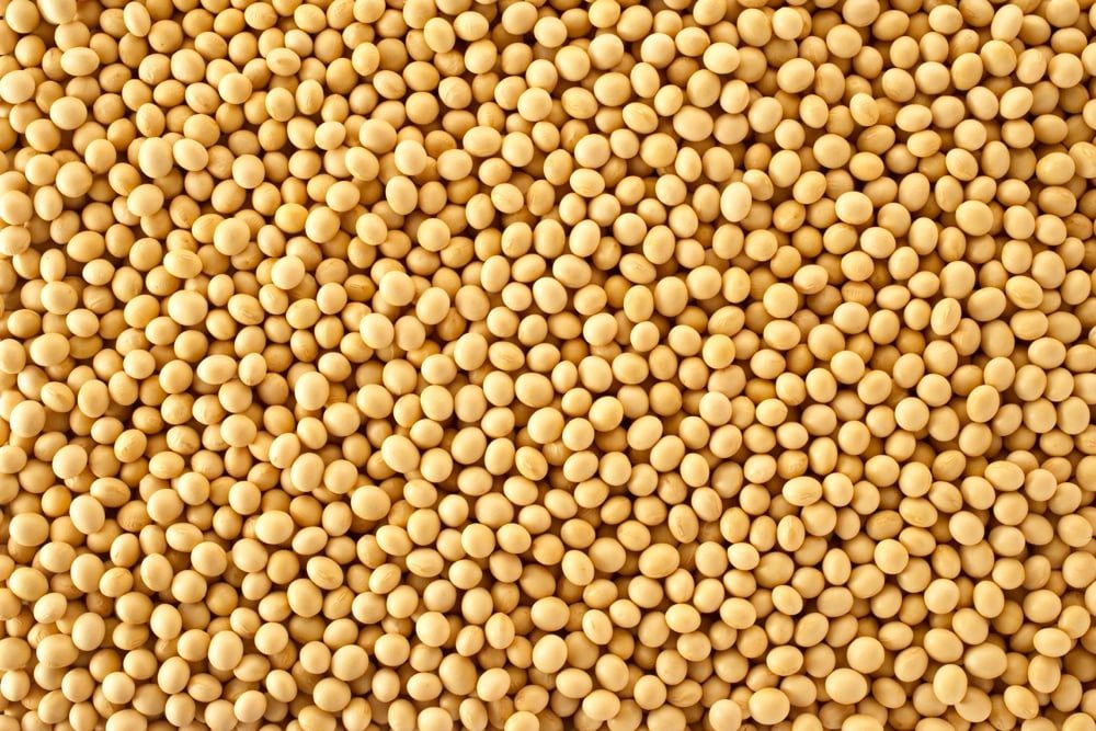 العقود الآجلة لفول الصويا