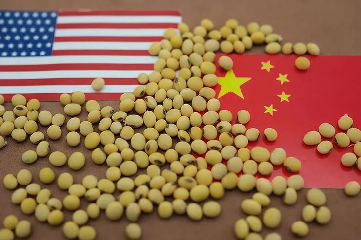 الصين تشتري أكثر من نصف التزامها من فول الصويا الأمريكي