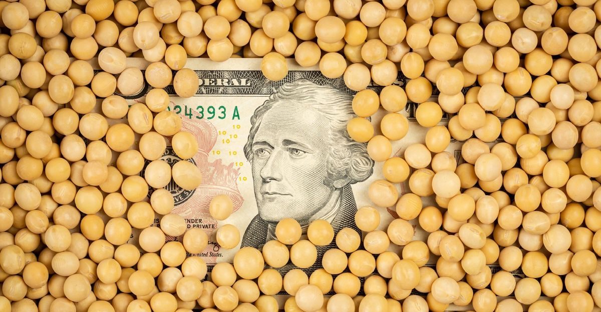 استمرار ارتفاع أسعار فول الصويا في شيكاغو يدعم الأسعار في أوكرانيا.. والطلب المنخفض يحد من صعودها