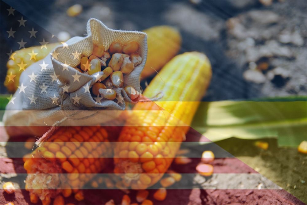 ارتفاع المساحة المزروعة بالذرة في الولايات المتحدة بنسبة 5%