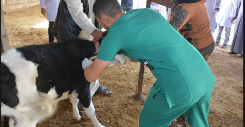 السعودية تحتاج 25 ألف طبيب بيطري لتحقيق الاكتفاء الذاتي