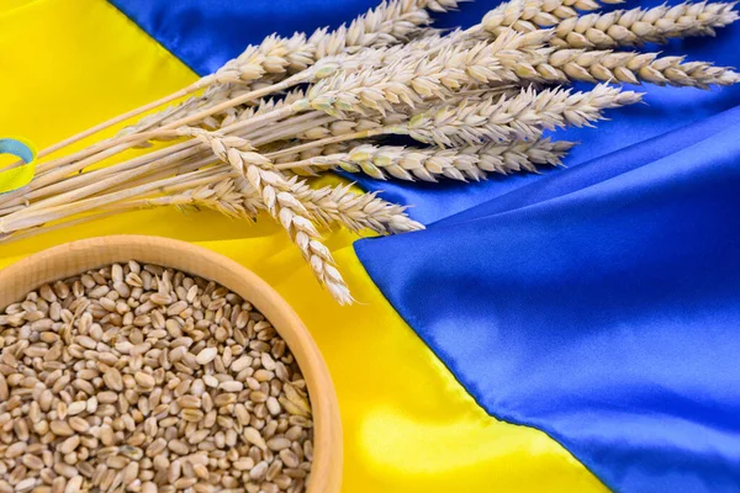 أوكرانيا تصدر 38 مليون طن من الحبوب لهذا الموسم