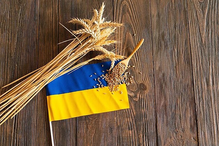 صادرات الحبوب الأوكرانية تتجاوز 200 ألف طن منذ بداية موسم 2025-2026