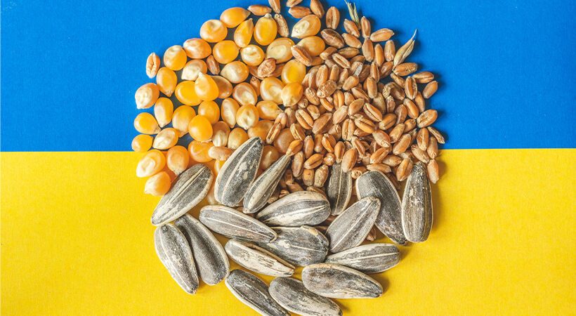 الصادرات الزراعية الأوكرانية تنخفض بنسبة 40٪ في سبتمبر