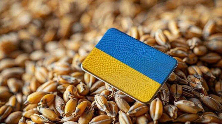 صادرات الحبوب الأوكرانية تسجل 7.9 مليون طن في موسم 2025-2026