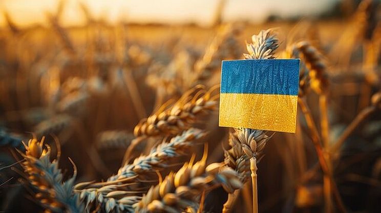 أوكرانيا تصدر 1.5 مليون طن من الحبوب خلال الأسبوعين الأولين من شهر مايو