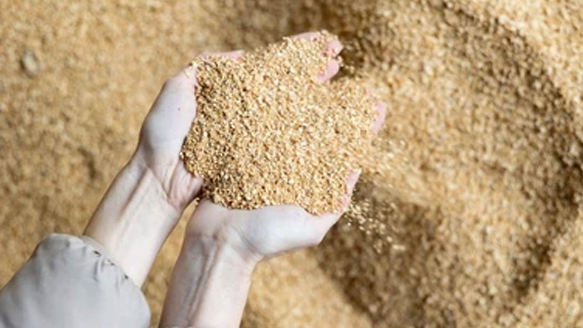 الضحى للأعلاف: المصانع لجأت إلى تخفيض الطاقات الإنتاجية بما يتناسب مع حجم الطلب