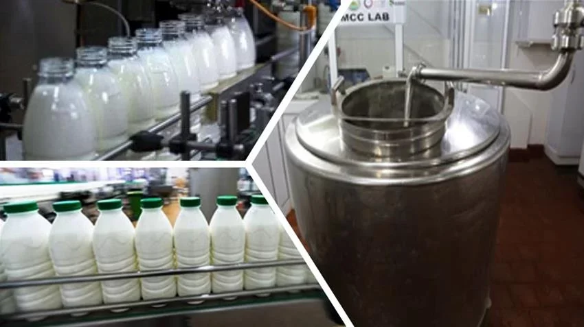 بيطري المنيا تنظم ورشة عمل حول مشروع لتعزيز الإنتاجية لصغار منتجي الألبان بالتعاون مع الفاو