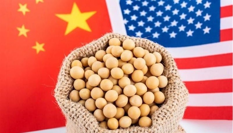 ارتفاع واردات الصين من فول الصويا بنسبة 7.3٪ وانخفاض الذرة 86.1٪ خلال الأشهر الـ 11 الأولى من عام 2025