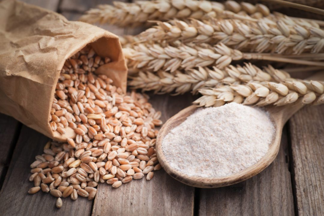 الولايات المتحدة تبيع 215 ألف طن من القمح الأمريكي خلال الأسبوع الماضي