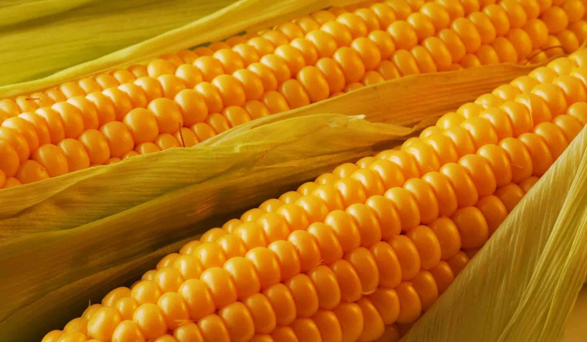 سوق الخامات