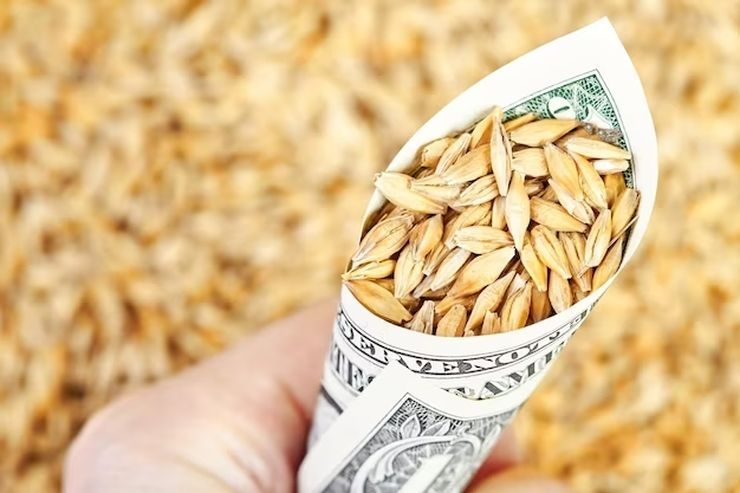 عقود القمح تنهي تداولات الخميس على ارتفاع في 3 بورصات عالمية