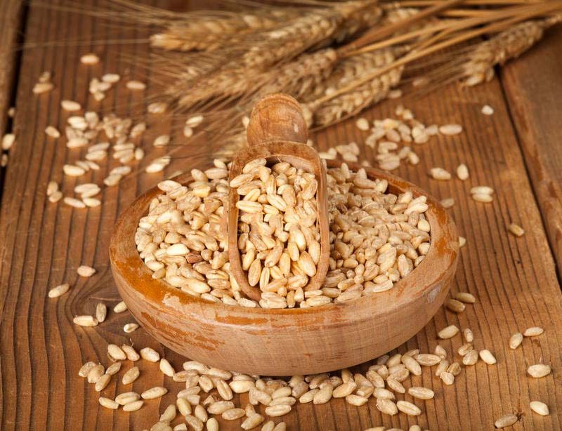 ألمانيا تتوقع زيادة محصول القمح بنسبة 21.1٪ في عام 2025