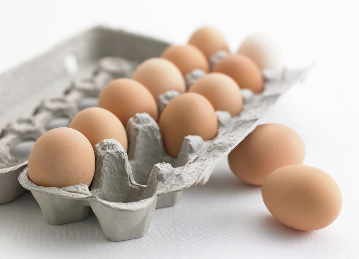 أوكرانيا تضاعف صادراتها من البيض خلال الأشهر الثلاث الأولى من العام 2025