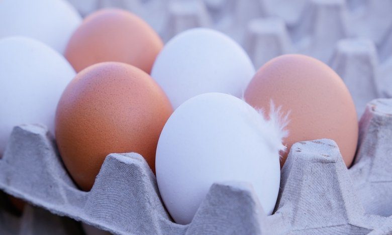 أوكرانيا تزيد صادرات البيض بنسبة 66% خلال عام 2025