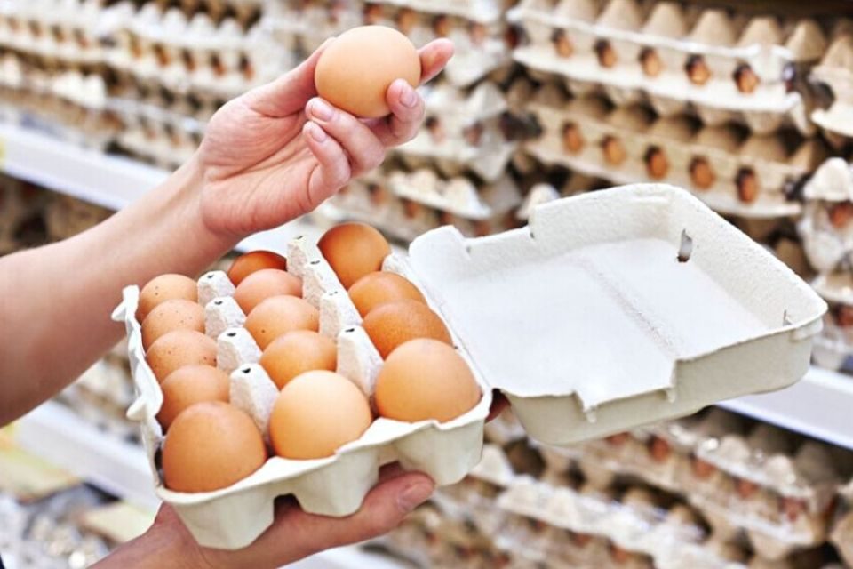 أوكرانيا تسجل انخفاض في أسعار البيض لأول مرة منذ فبراير بنسبة 5.2%