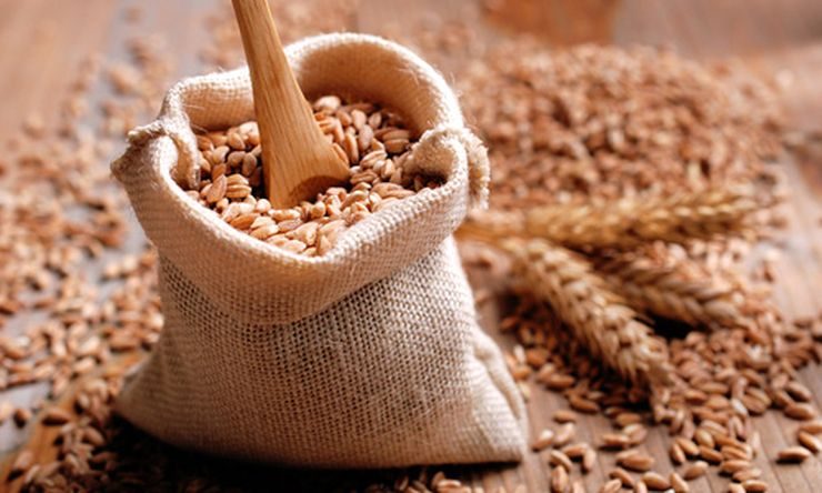 سوق القمح يتكبد خسائر في جميع البورصات العالمية نهاية الأسبوع الماضي