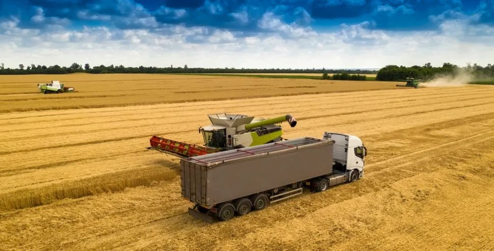 أوكرانيا تحصد حوالي 100 ألف طن من المحاصيل المختلفة