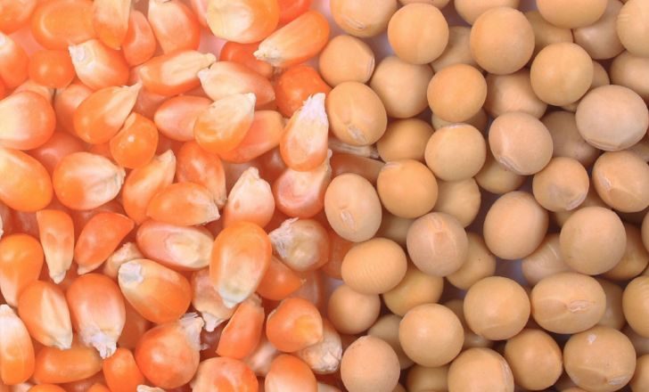 خاص| «استقرار منتظر».. أحد تجار الخامات والأعلاف يكشف توقعات الفترة المقبلة