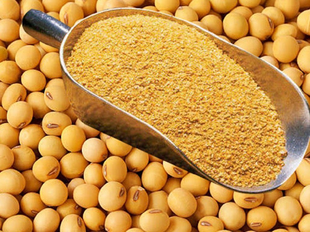 أسعار كسب فول الصويا في الأرجنتين تنخفض للمرة الأولى منذ عامين إلى ما دون بورصة شيكاغو