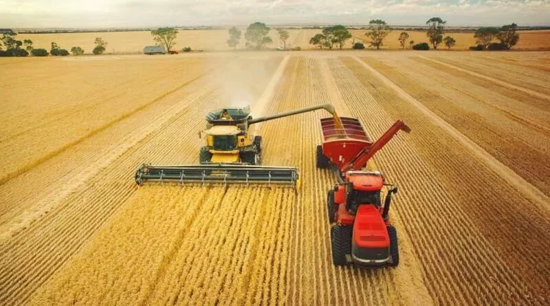 إنتاج الحبوب السنوي في الصين يتجاوز 695 مليون طن في 2023