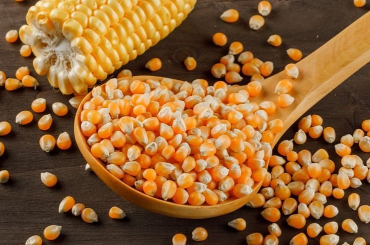استيراد الذرة