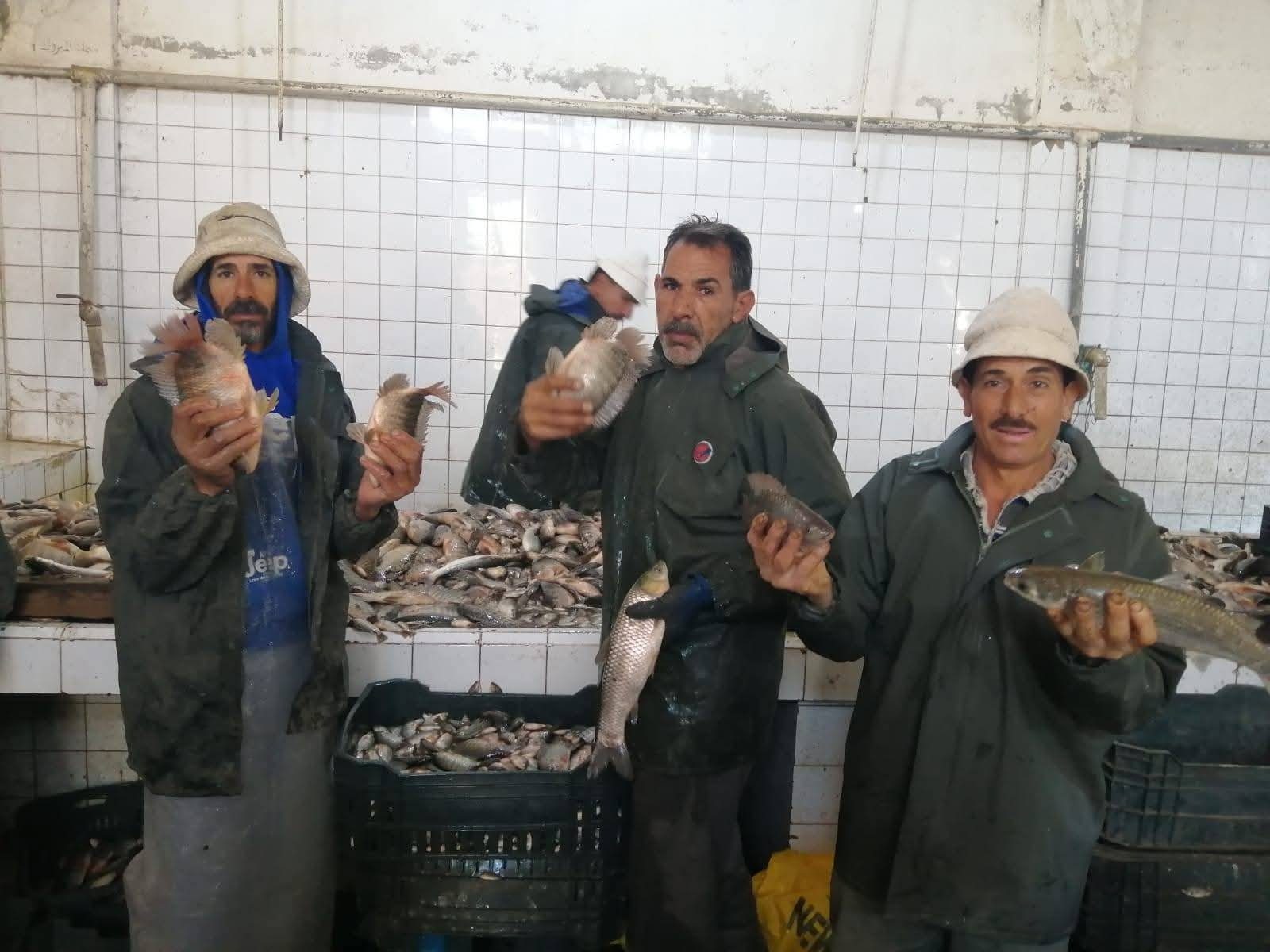 مزرعة المنزلة السمكية