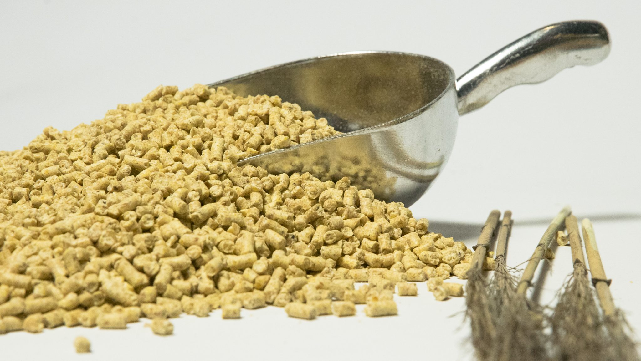 إضافات الأعلاف