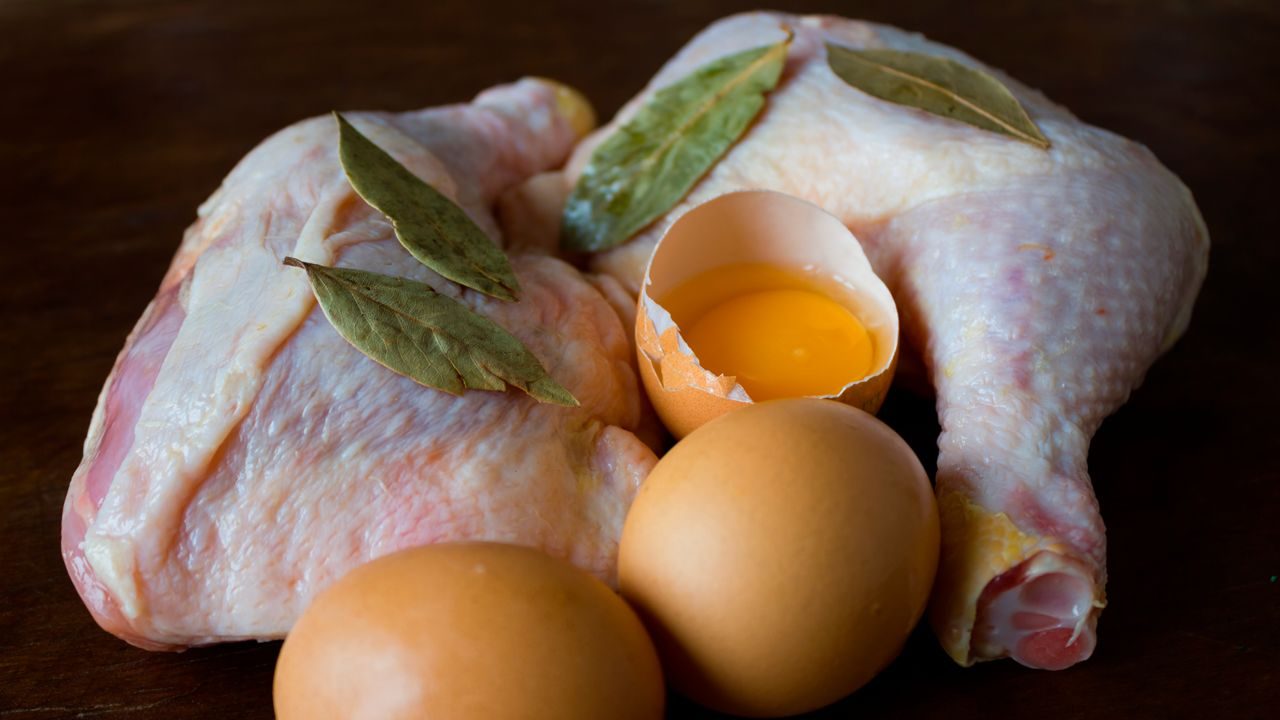 الدواجن والبيض