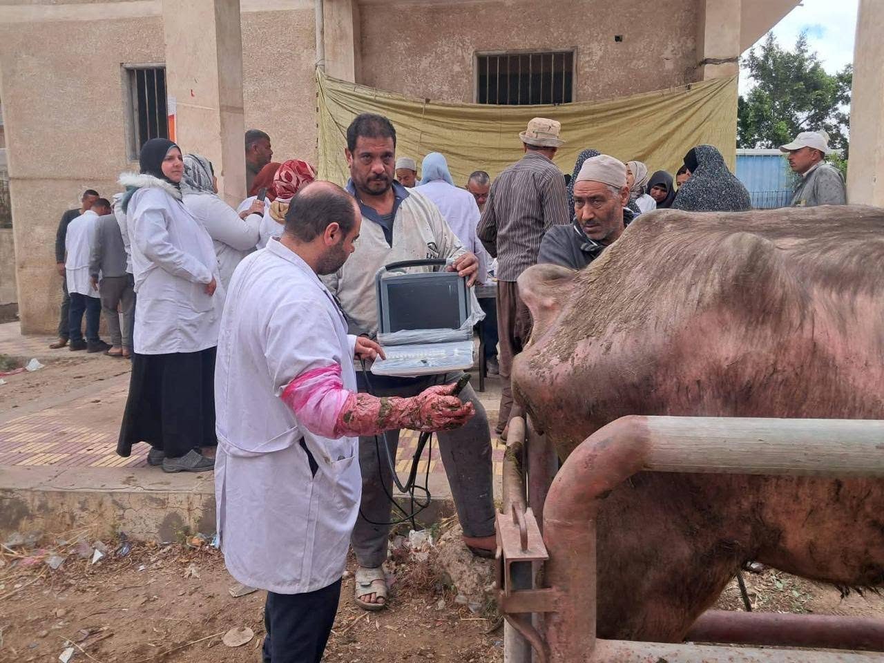 التلقيح الاصطناعي