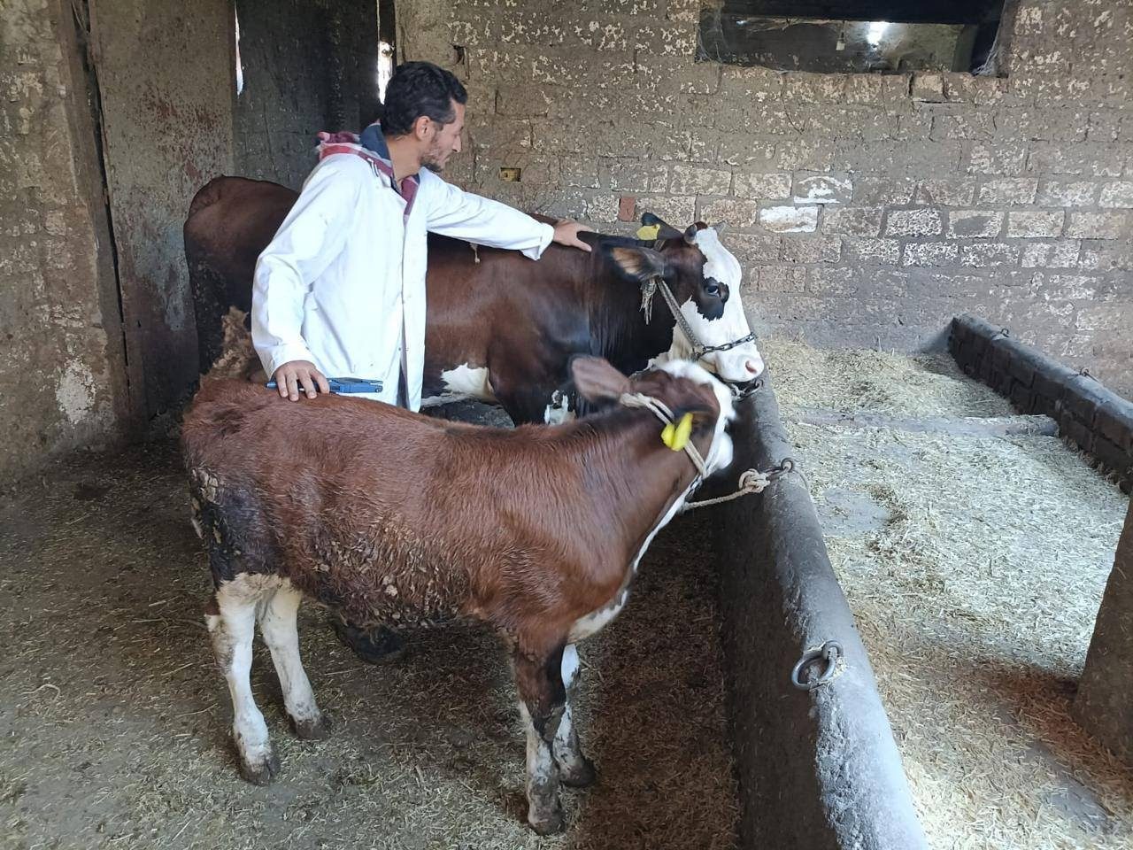 التلقيح الاصطناعي