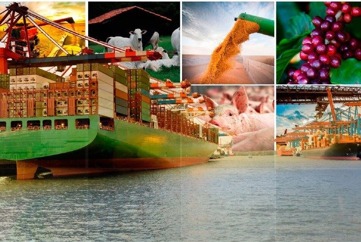 صادرات البرازيل من الحبوب تسجل 180 مليون طن في 2023